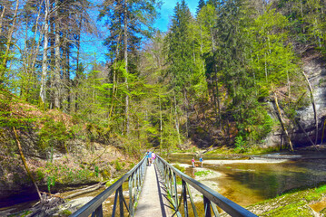 Wanderweg im Eistobel im Westallgäu (Bayern)