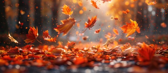 Orange Leaves Flying in the Air