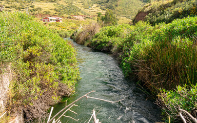 River in the middle of bushes with distant trees and mountains in Acomayo, Cusco, Peru