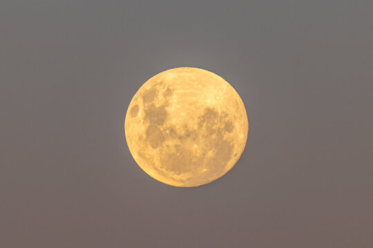 April Pink Moon, Full Moon Rising in the twilight sky