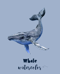 A watercolor painting of a humpback whale on electric blue background