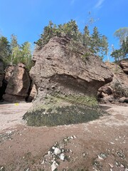 Coastal Treasures: Hopewell Rocks Provincial Park