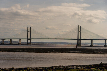 Majestic cable-stayed bridge over water at low tide