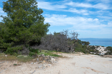 Sithonia coastline near Orange Beach, Chalkidiki, Greece