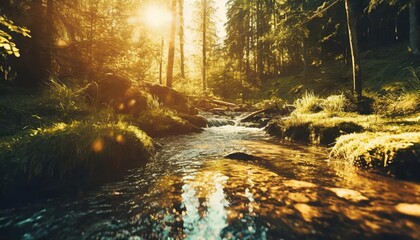 forest creek in warm sunlight - obrazy, fototapety, plakaty
