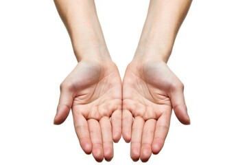Fototapeta premium Beautiful hands open palm gesture person finger human.