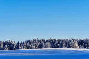 Winter time in the cultural landscape of Toten, Norway, in January. Image shot in the area between Kolbu Church and Gardlausstua.