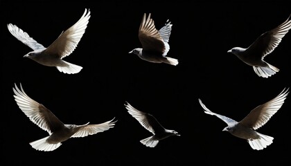 set of black flying bird silhouettes on transparent background