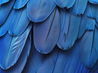 Close-up of Vibrant Blue Bird Feathers