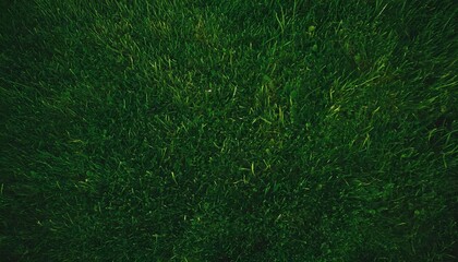 natural green grass background fresh lawn top view