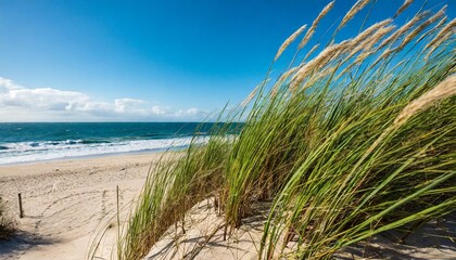 Fototapeta na wymiar dune grass on the beach generative ai