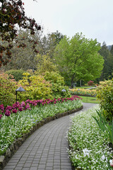Spring flowers in full bloom at Butchart's Gardens, Victoria BC. Mass plantings in gorgeous floral...