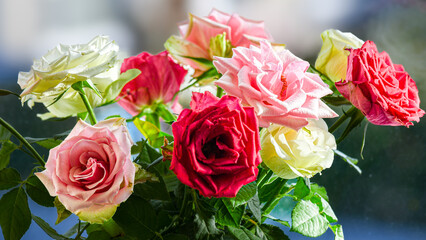 Bouquet of beautiful roses on the windowsill