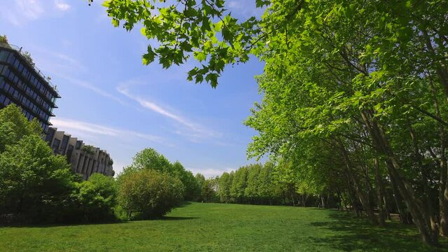 NEW YORK, NEW YORK - USA MAY 12: Row of growing fresh green trees surround the lawn during springtime at Brooklyn Bridge Park in New York City on May 12, 2023.