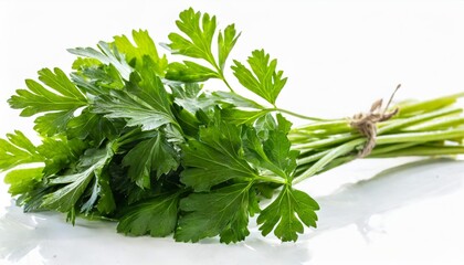 parsley herb isolated