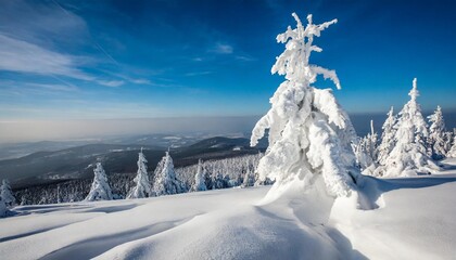 a beautiful winter in the karkonosze mountains heavy snowfall created an amazing climate in the mountains poland lower silesia voivodeship - obrazy, fototapety, plakaty