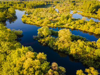 top view of the river and forest