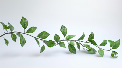 3D rendering Isolated green plant twigs with leaves on a white backdrop.