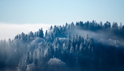 frosty forest on a hill covered in morning mist 3d rendering