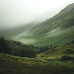 Misty Mountain Valley with Lush Greenery