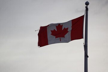 Canadian flag fluttering in the wind, full flag visible, light grey sky