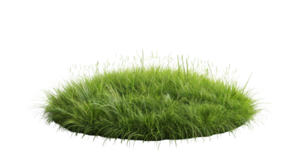 Round surface covered with green grass