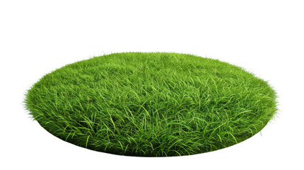 Round surface covered with green grass