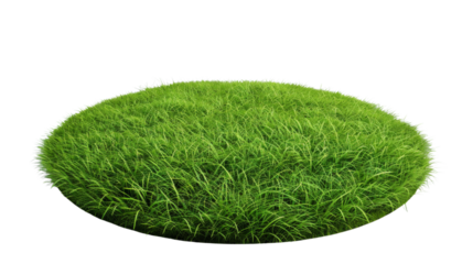 Round surface covered with green grass