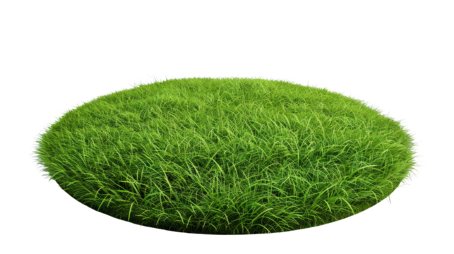 Round surface covered with green grass