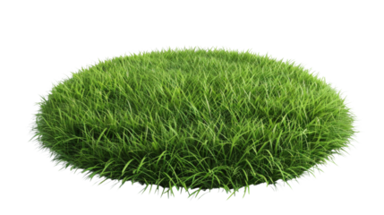 Round surface covered with green grass