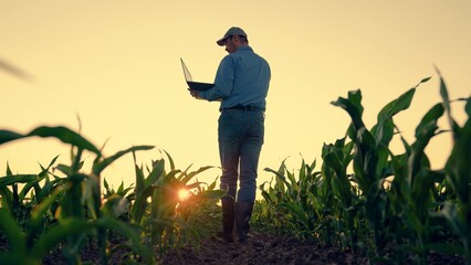 Farmer man working laptop in field with green corn sprouts. Use of modern digital technologies in agribusiness. Growth of young corn. Concept of growing organic food, agricultural business development