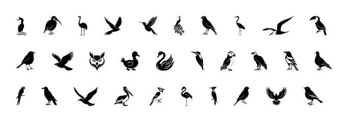 Fototapeta na wymiar Set of black bird silhouettes. Vector elements for design. Detailed bird black silhouettes of different kinds. Albatross, Toucan, Kingfisher, Puffin, Vulture, Magpie, Cormorant, Kiwi, Ostrich, Canary