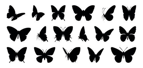 Flying butterflies silhouette black set isolated on transparent background. Set of butterflies, ink silhouettes. Glowworms, fireflies and butterflies icons isolated on white background. Hand drawn 