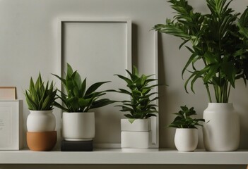 group indoor bookshelf plants square frame composition White Minimal