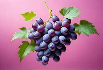 Grapes Digital Painting Isolated Fruits Illustration Background Graphic Vegan Food Design