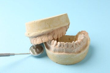 Dental model with gums and dentist mirror on light blue background. Cast of teeth
