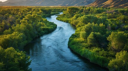 Serene river winding through lush green landscape