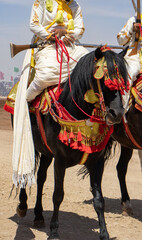Obraz premium Equestrian Majesty in Morocco - Traditional Tbourida Attire in Detail