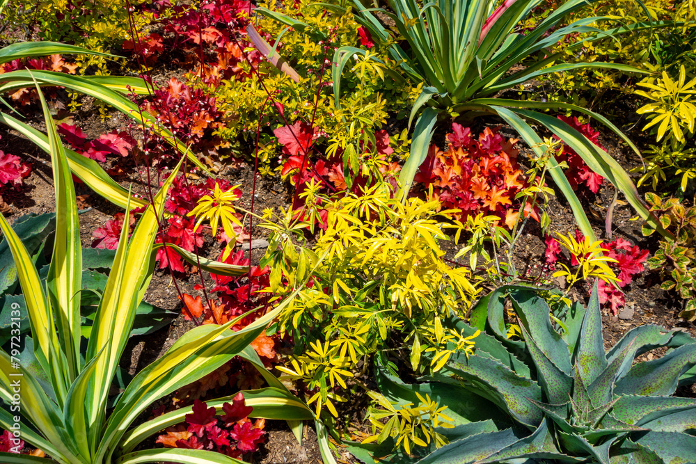 Wall mural colorful arrangement of flowers in southern california garden.