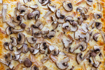 Close up of a pizza with mushrooms