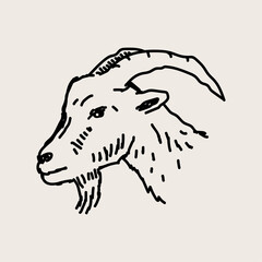 Goat face icon. Animal logo drawing. Mascot
