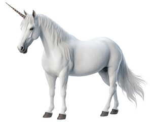 Fantasy white horse unicorn PNG Pegasus isolated on white and transparent background - Mystical Magical Horse Mythology Concept