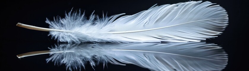 Delicate white feather and its reflection on a sleek dark background