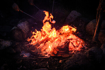 Bonfire Roasting Marshmallows