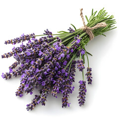 Bunch of lavender flowers isolated on white background, perfect for aromatherapy and spa-related designs.