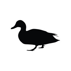 Duck Silhouette Flat Icon