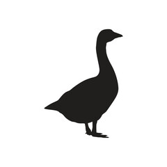 Duck Silhouette Flat Icon - obrazy, fototapety, plakaty