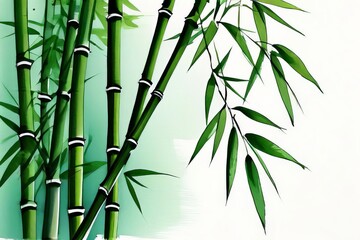 Bamboo forest, Bamboo plants in garden