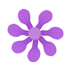 beautiful flower petal with detail for decoration background and your design