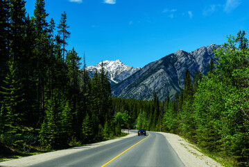 Road Trip to Banff National Park in the Canadian Rockies - obrazy, fototapety, plakaty